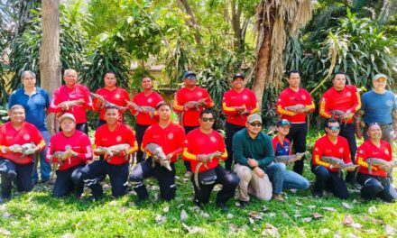 FORTALECEN CAPACITACIÓN EN MANEJO DE COCODRILOS PARA PROTEGER A LA CIUDADANÍA