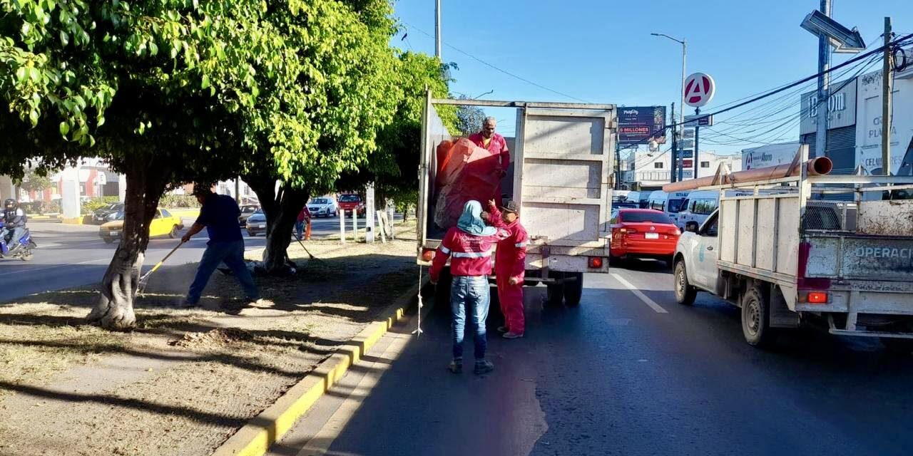 BRIGADA BLANCA REFUERZA LABORES DE LIMPIEZA EN AVENIDA INSURGENTES EN TEPIC