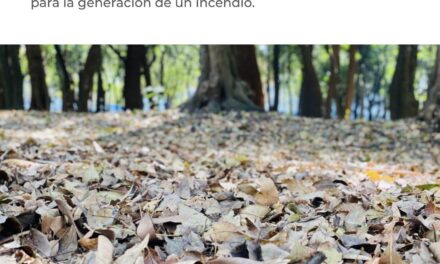 ¡PREVENIR INCENDIOS ES TAREA DE TODOS EN TEMPORADA DE ESTIAJE!