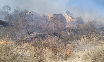 ATENCIÓN OPORTUNA A INCENDIO EN LA ZONA DE LAS MINAS