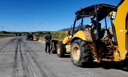 BULEVAR PANTANAL LUCE MÁS LIMPIO Y ORDENADO EN XALISCO
