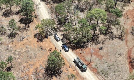 SEGURIDAD EN TODO NAYARIT: OPERATIVOS PERMANENTES EN EL ESTADO