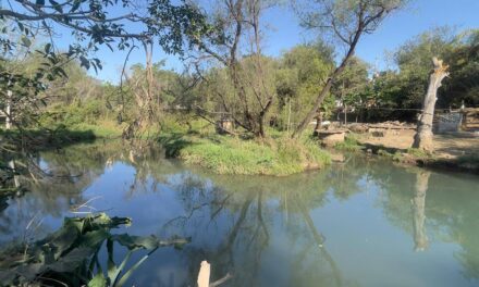 CONTINÚAN LABORES DE DESAZOLVE EN OJO DE AGUA DE SAN JOSÉ DE COSTILLA