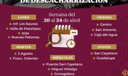 ¡JORNADA DE DESCACHARRIZACIÓN EN TEPIC: ELIMINA CRIADEROS DE MOSQUITOS!