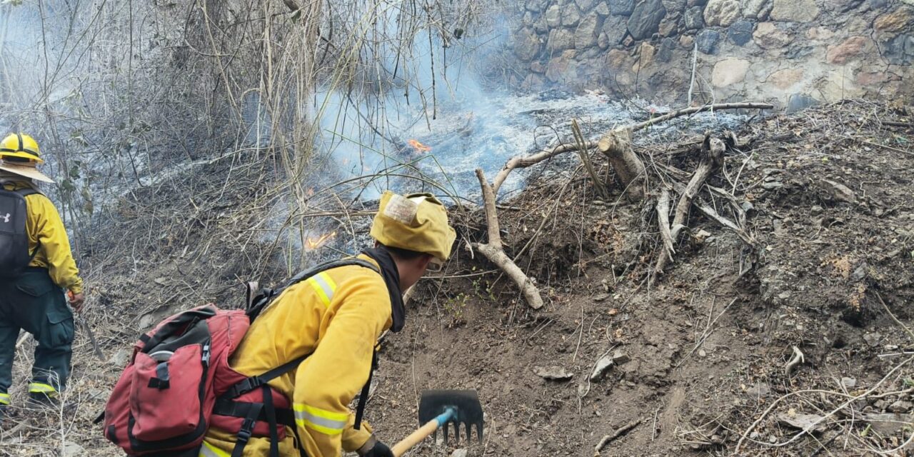 ATENCIÓN: CONTROLAN FOCOS DE INCENDIO EN CERRO DE LA CRUZ DE HUANACAXTLE