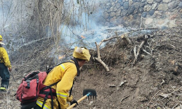 ATENCIÓN: CONTROLAN FOCOS DE INCENDIO EN CERRO DE LA CRUZ DE HUANACAXTLE