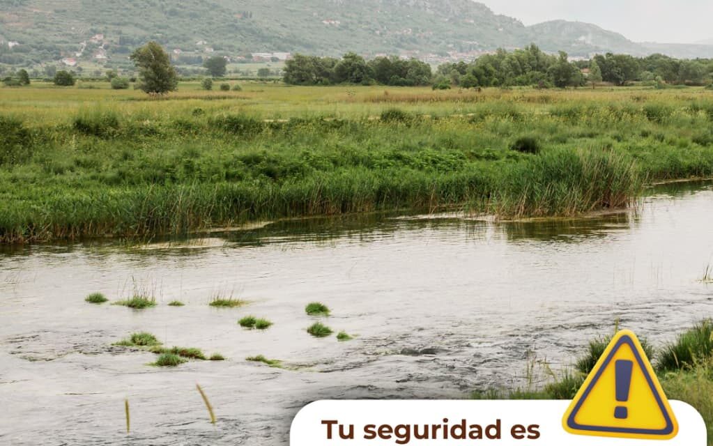 ⚠️ La prevención es protección