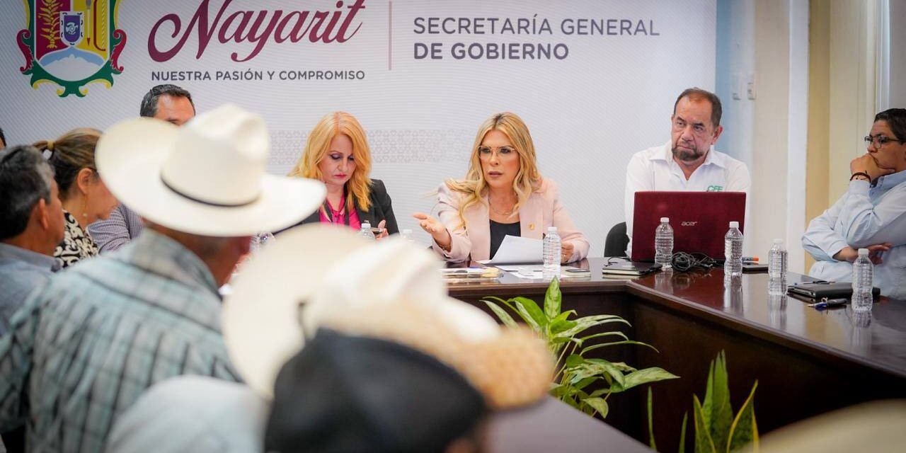 Gobierno del Estado fortalece diálogo con ejidatarios y CFE para impulsar desarrollo energético en Tepic