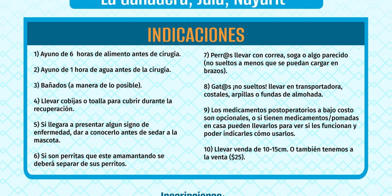 ¡LANZAN CAMPAÑA DE ESTERILIZACIÓN CANINA Y FELINA EN JALA!