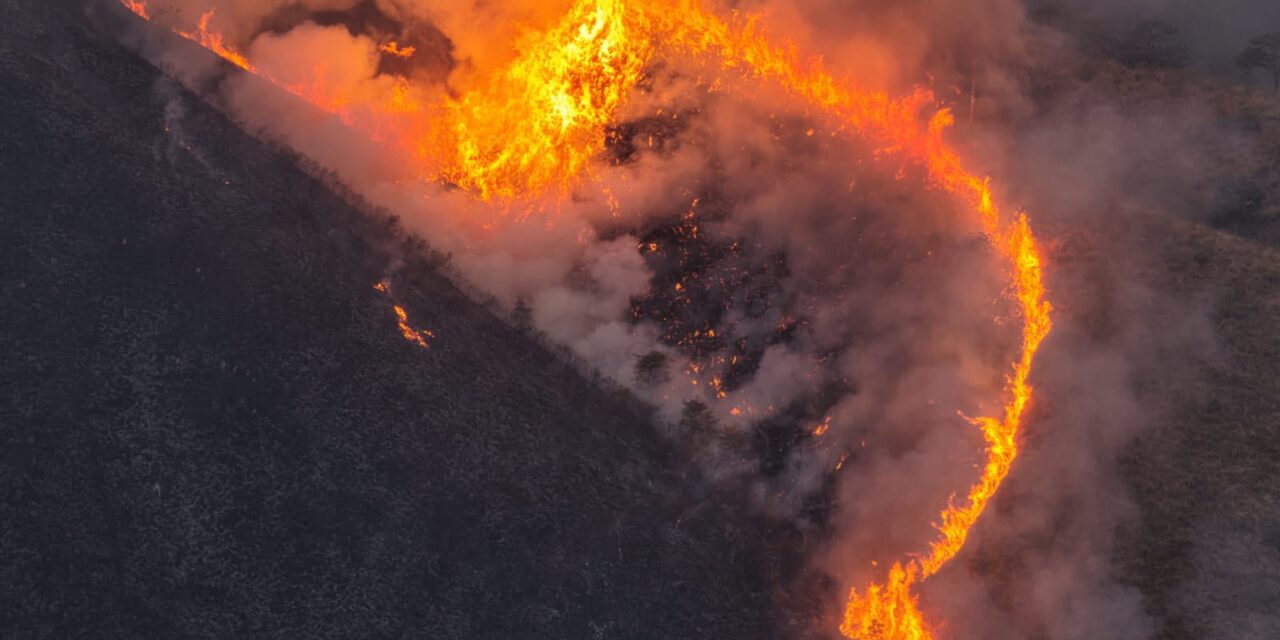 ¡AUTORIDADES EXPLICAN LAS LÍNEAS DE FUEGO EN EL CERRO DE SAN JUAN!