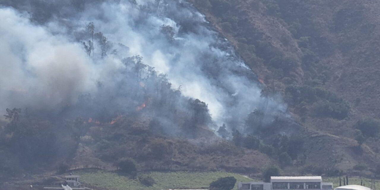 ¡MANTIENEN OPERATIVO PARA COMBATIR INCENDIO FORESTAL EN EL CERRO DE SAN JUAN!