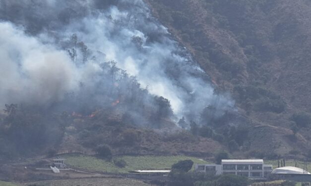 ¡MANTIENEN OPERATIVO PARA COMBATIR INCENDIO FORESTAL EN EL CERRO DE SAN JUAN!