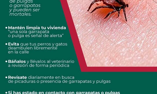 RICKETTSIOSIS: ENFERMEDADES INFECCIOSAS TRANSMITIDAS POR VECTORES