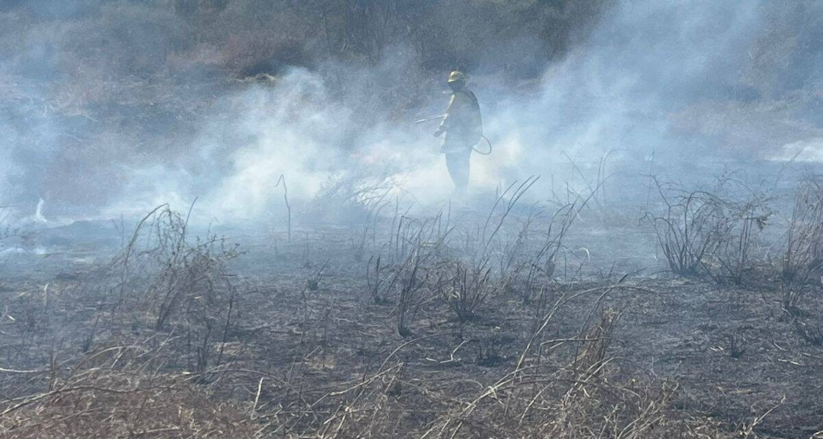 ¡BOMBEROS Y PROTECCIÓN CIVIL ACTÚAN PARA PROTEGER A LA CIUDADANÍA!