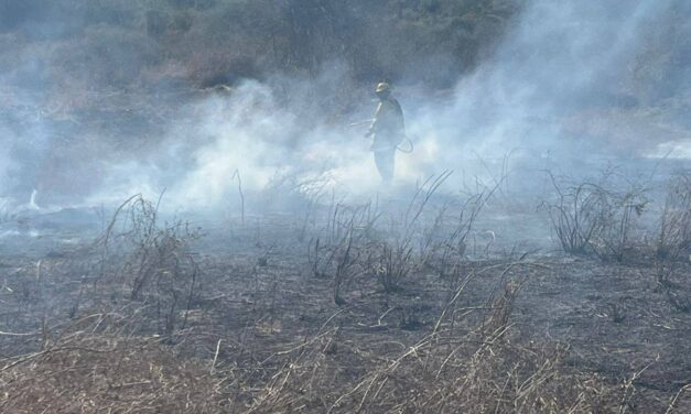 ¡BOMBEROS Y PROTECCIÓN CIVIL ACTÚAN PARA PROTEGER A LA CIUDADANÍA!