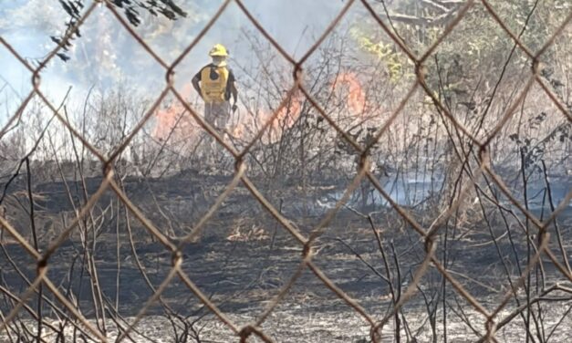 ¡INTENSA TARDE DE INCENDIOS DE PASTIZALES EN LA REGIÓN!