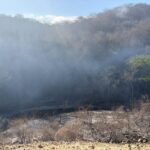 ¡ATIENDEN INCENDIO EN EL TIZATE PARA EVITAR SU PROPAGACIÓN!
