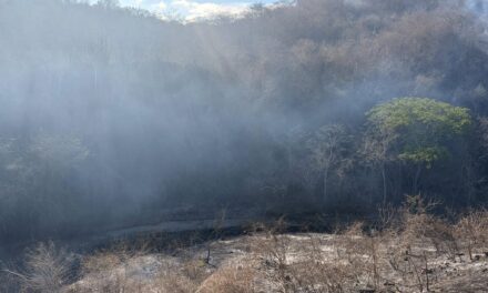 ¡ATIENDEN INCENDIO EN EL TIZATE PARA EVITAR SU PROPAGACIÓN!