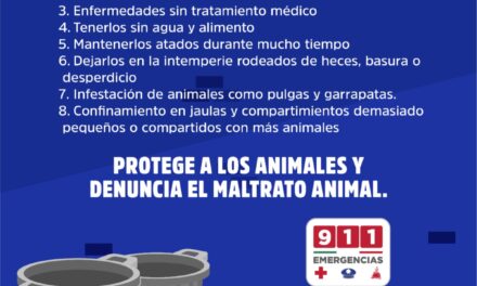¡ALTO AL MALTRATO ANIMAL! DENUNCIAR TAMBIÉN ES PROTEGER