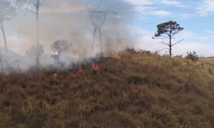 ¡PROTECCIÓN CIVIL DE XALISCO ATIENDE INCENDIO EN MESA DE LAS ROSAS!