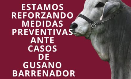 ¡REFUERZAN MEDIDAS DE PREVENCIÓN ANTE GUSANO BARRENADOR EN BAHÍA DE BANDERAS!