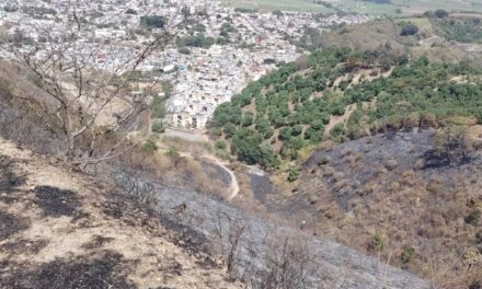¡INCENDIO FORESTAL EN CANOAS HA SIDO LIQUIDADO AL 100%!
