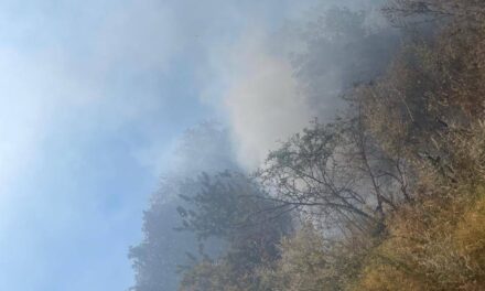 ¡BRIGADAS CONTINÚAN COMBATIENDO INCENDIO EN EL FRACCIONAMIENTO CANOAS!