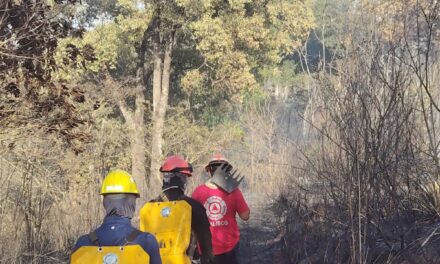 ¡CONTROLAN INCENDIO FORESTAL EN EL REFUGIO!