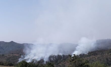 ¡PROTECCIÓN CIVIL Y BOMBEROS DE XALISCO ATIENDEN INCENDIO FORESTAL EN EL REFUGIO!