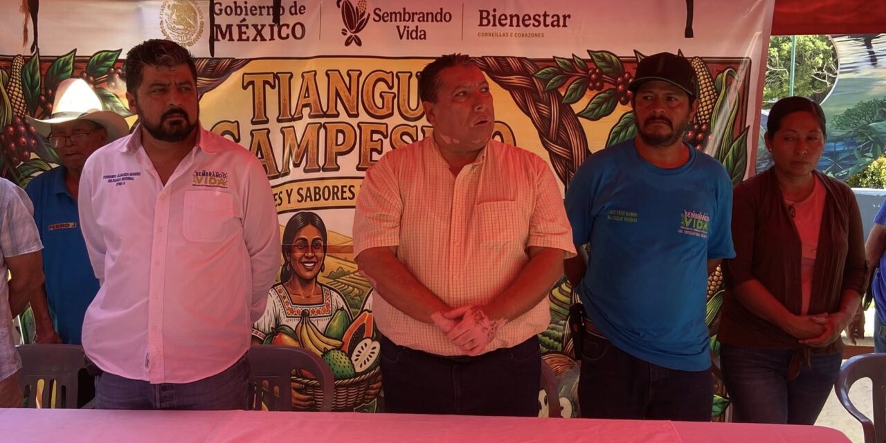 ¡ACAPONETA SE LLENA DE SABOR CON EL TIANGUIS CAMPESINO DEL PROGRAMA SEMBRANDO VIDA!