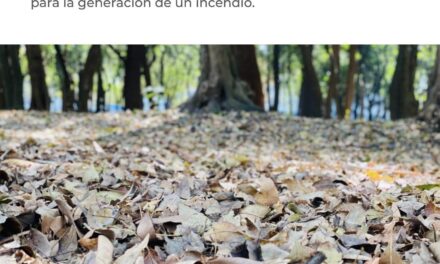 ASEGURAN A TRES PERSONAS EN TEPIC POR PRESUNTO DELITO DE LESIONES