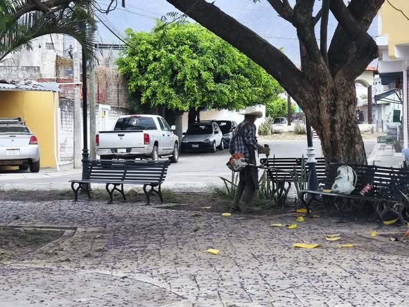 ¡VECINOS AGRADECEN MEJORAS EN ÁREAS VERDES DEL FRACCIONAMIENTO!