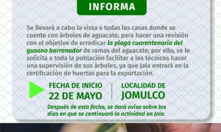 ¡INICIAN BRIGADAS PARA COMBATIR PLAGA EN ÁRBOLES DE AGUACATE EN JALA!