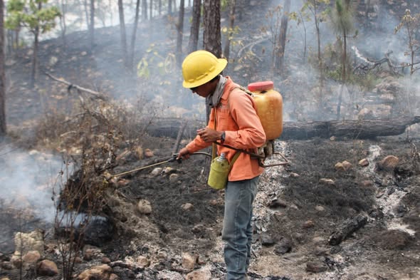 Controlan incendio forestal interestatal en “Loma de los Lobos”, en Ixtlán del Río