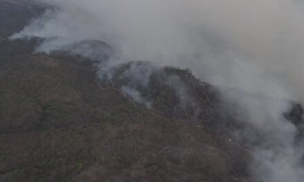 INFORMACIÓN OPERATIVA INCENDIO FORESTAL “LOMAS DE LOS LOBOS”