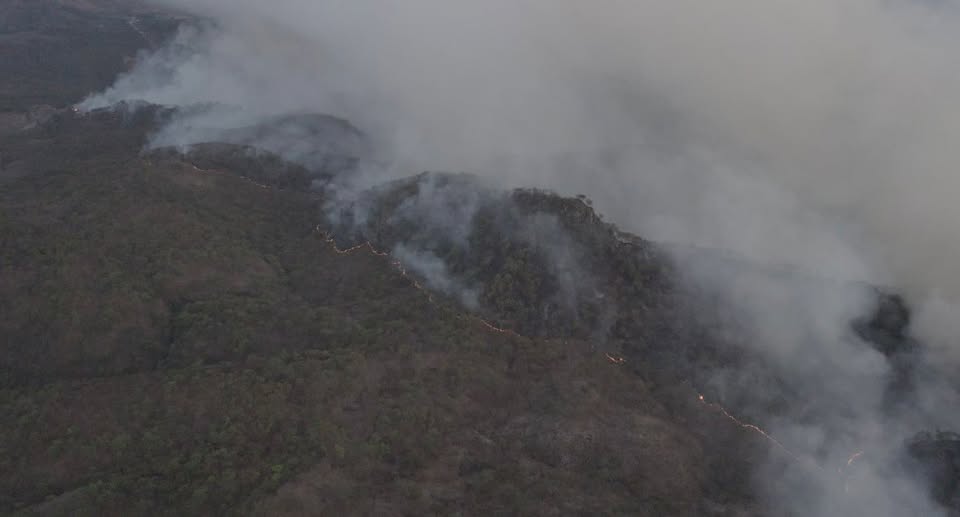 INFORMACIÓN OPERATIVA INCENDIO FORESTAL “LOMAS DE LOS LOBOS”