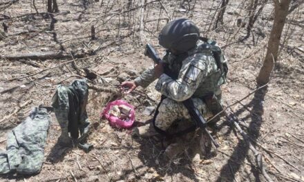En Nayarit se fortalece la paz con prevención, cercanía y trabajo comunitario