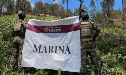 Gobierno de Nayarit mantiene trabajo conjunto por la tranquilidad y el bienestar de las familias nayaritas