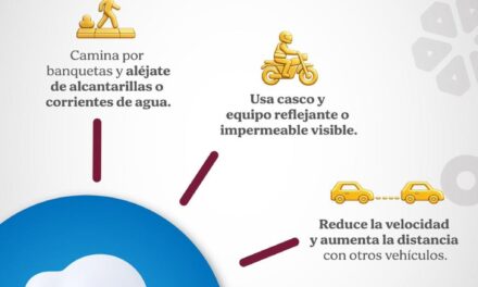 PREVENCION DE LLUVIAS
