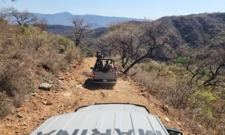 Autoridades de los tres órdenes de gobierno consolidan operativos y acciones estratégicas para preservar la paz y el bienestar en Nayarit