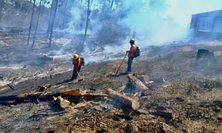 COFONAY atiende y controla conato de incendio en el cerro de San Juan, en Xalisco