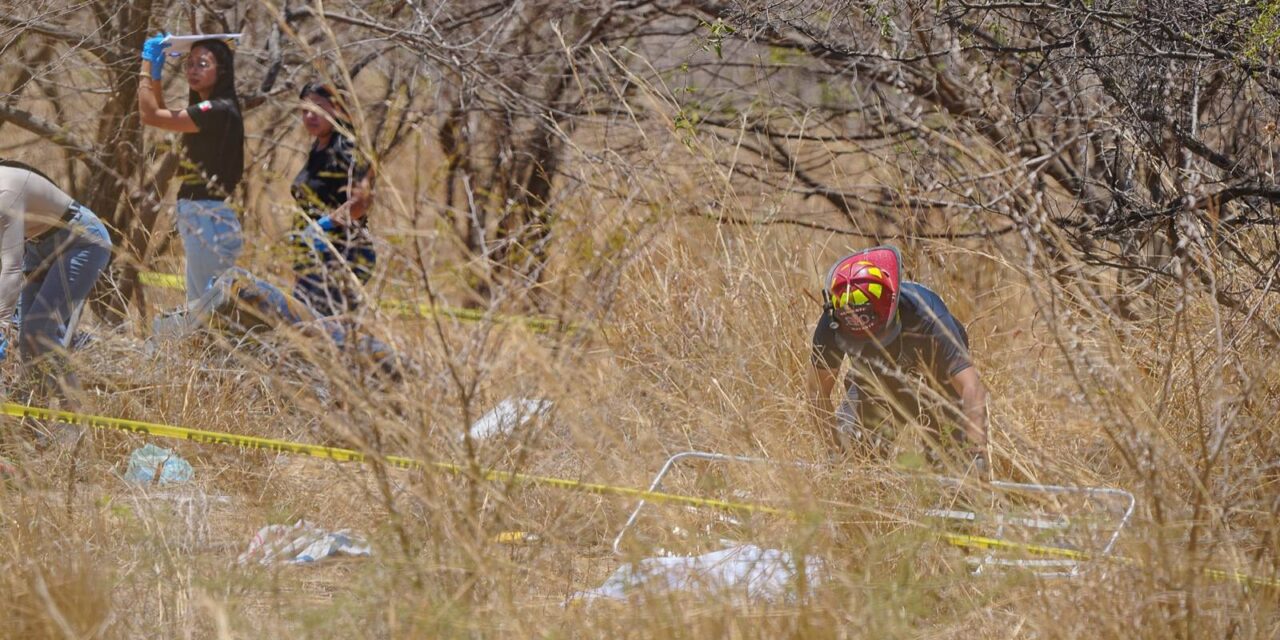 Gobierno de Nayarit atiende de manera coordinada accidente en Amatlán de Cañas