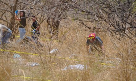 Gobierno de Nayarit atiende de manera coordinada accidente en Amatlán de Cañas