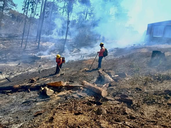 COFONAY atiende y controla conato de incendio en el cerro de San Juan, en Xalisco