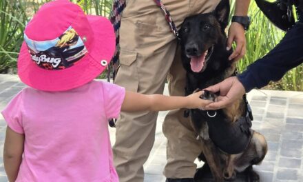 ¡LOKY Y LUNA CUIDAN TEPIC Y CONQUISTAN CORAZONES!