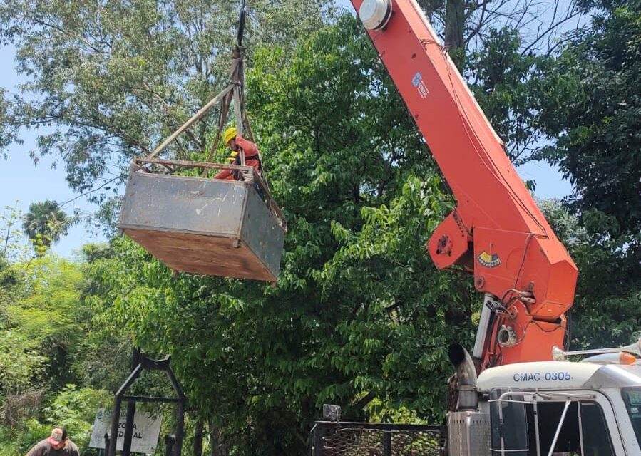 ¡REALIZAN LABORES PREVENTIVAS DE PODA PARA PROTEGER A LAS FAMILIAS NAYARITAS!