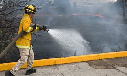CONTROLAN INCENDIO EN PREDIO SOBRE EL BOULEVARD RIVIERA NAYARIT