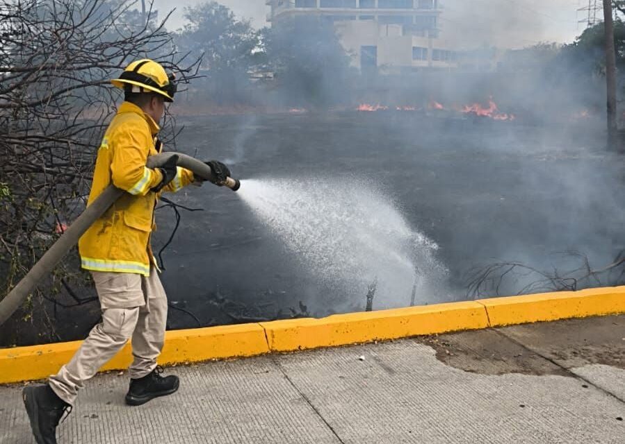 CONTROLAN INCENDIO EN PREDIO SOBRE EL BOULEVARD RIVIERA NAYARIT