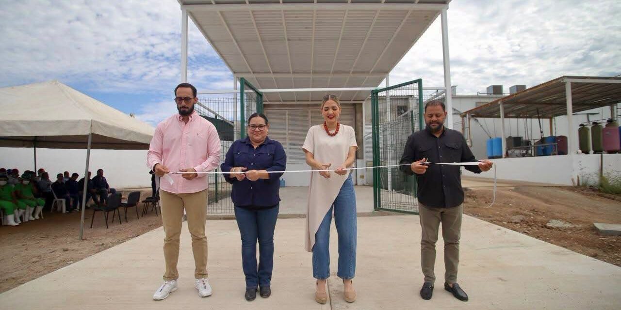 ¡FORTALECEN EL RASTRO TIF DE MAZATLÁN PARA IMPULSAR LA COMPETITIVIDAD GANADERA!
