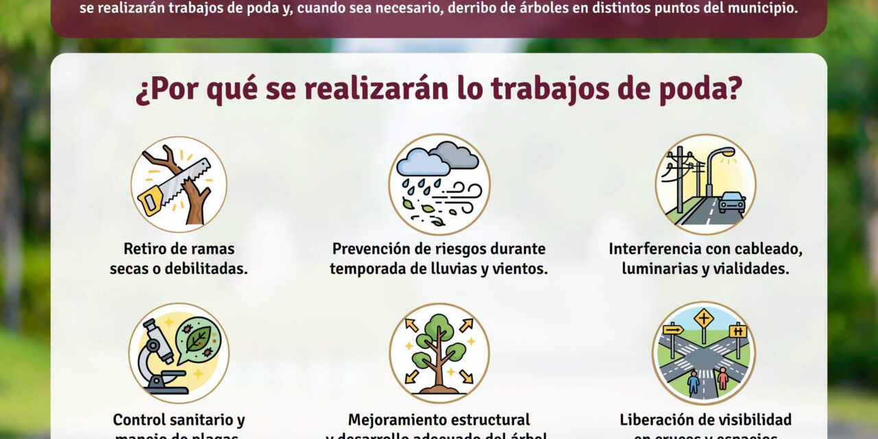 ¡CUIDAR LOS ÁRBOLES TAMBIÉN ES PROTEGER A LAS FAMILIAS! PODA PREVENTIVA DURANTE LA TEMPORADA DE LLUVIAS